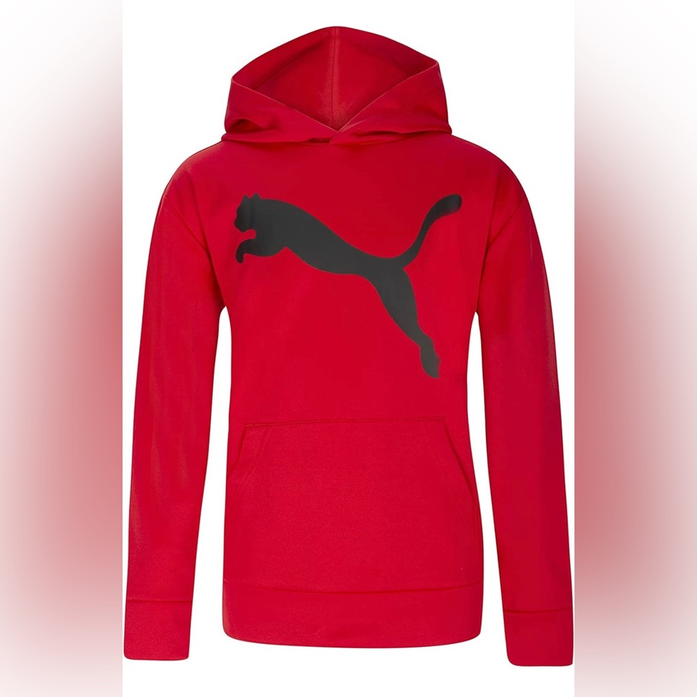 Puma Men’s Hoodie